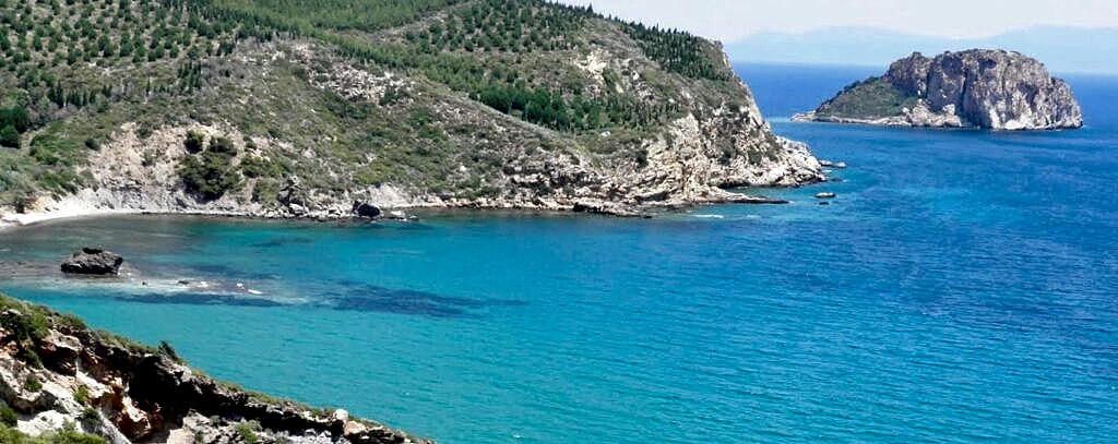 width=720, height=260